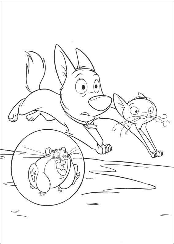 Bolt Runs Fast