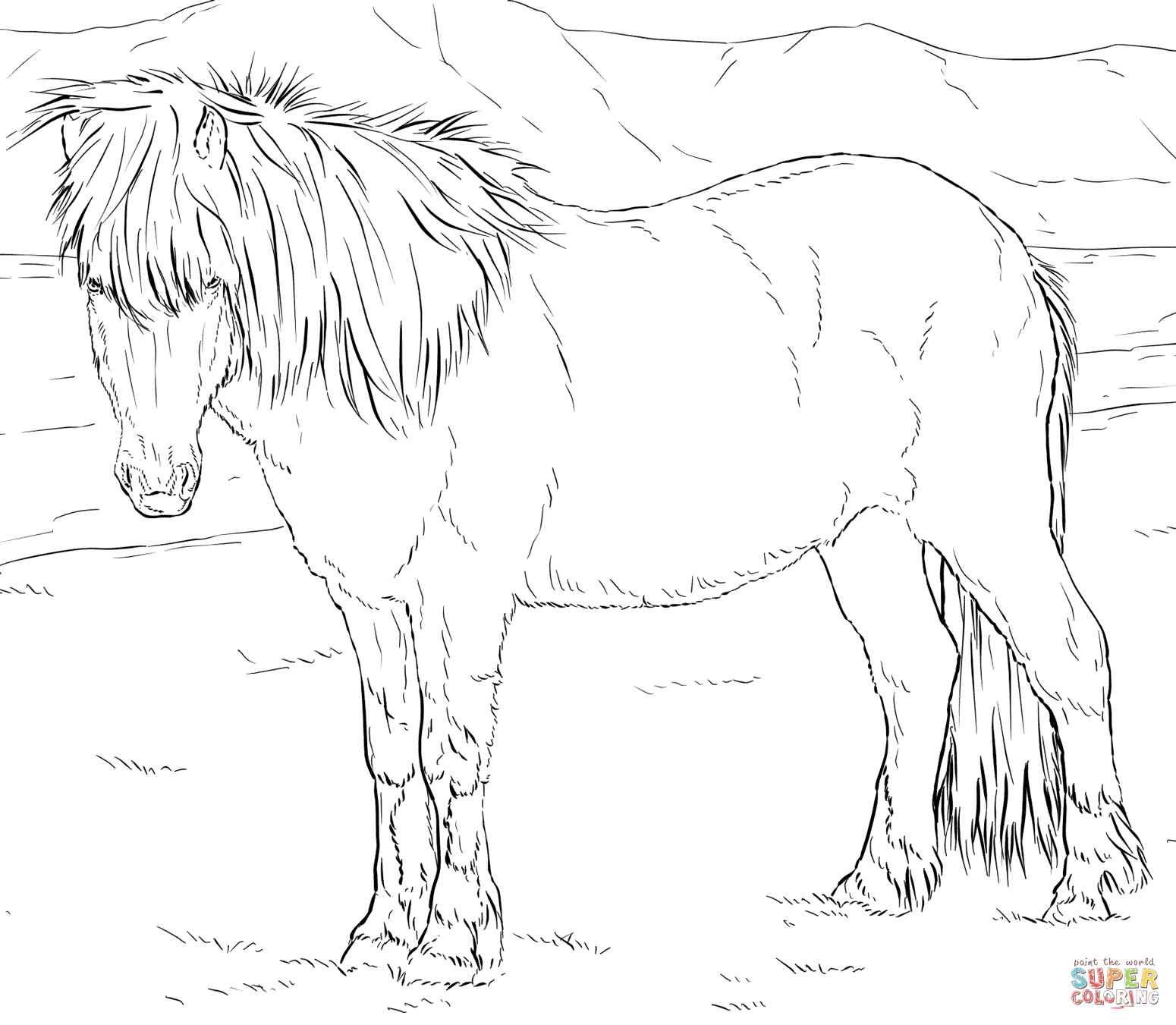 Icelandic Horse