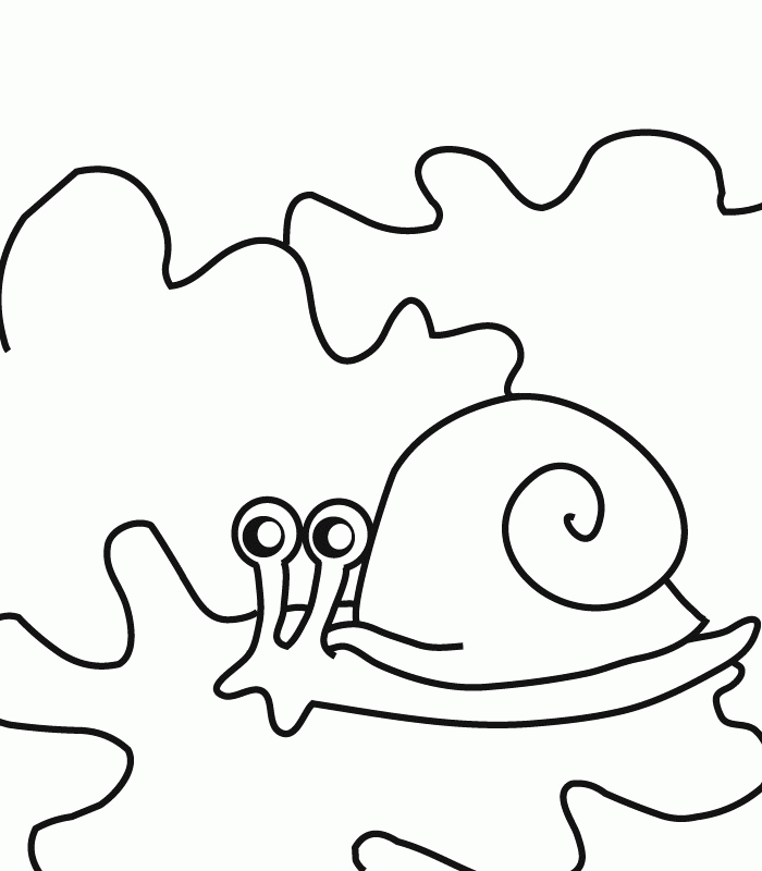 New Snail To Print