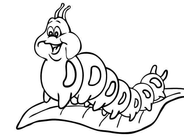 A Frisky Caterpillar