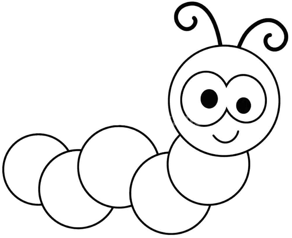The Eyed Insect Has A Length Of Only 45 mm