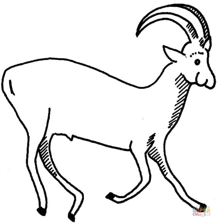 Bongo Antelope Free Printable