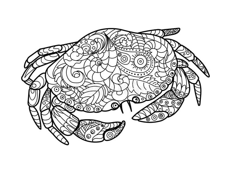 Crab For Children