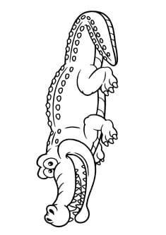 Crocodile Picture To Printable