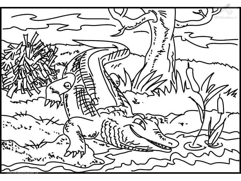 Printable Crocodile