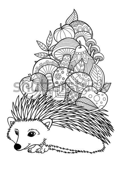 Cute Hedgehog And Fruits
