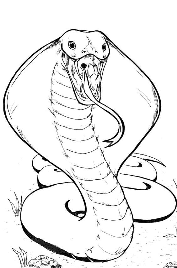 King Cobra Hissing Free Printable