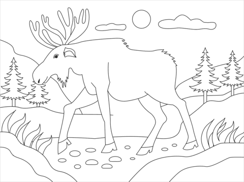 Moose Cute Free