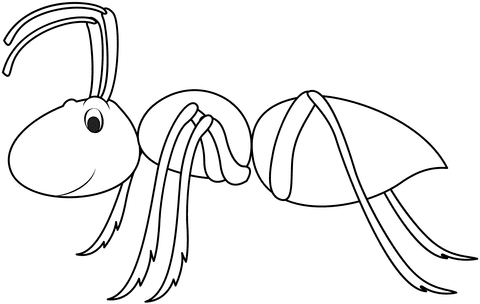 Ant Free Image
