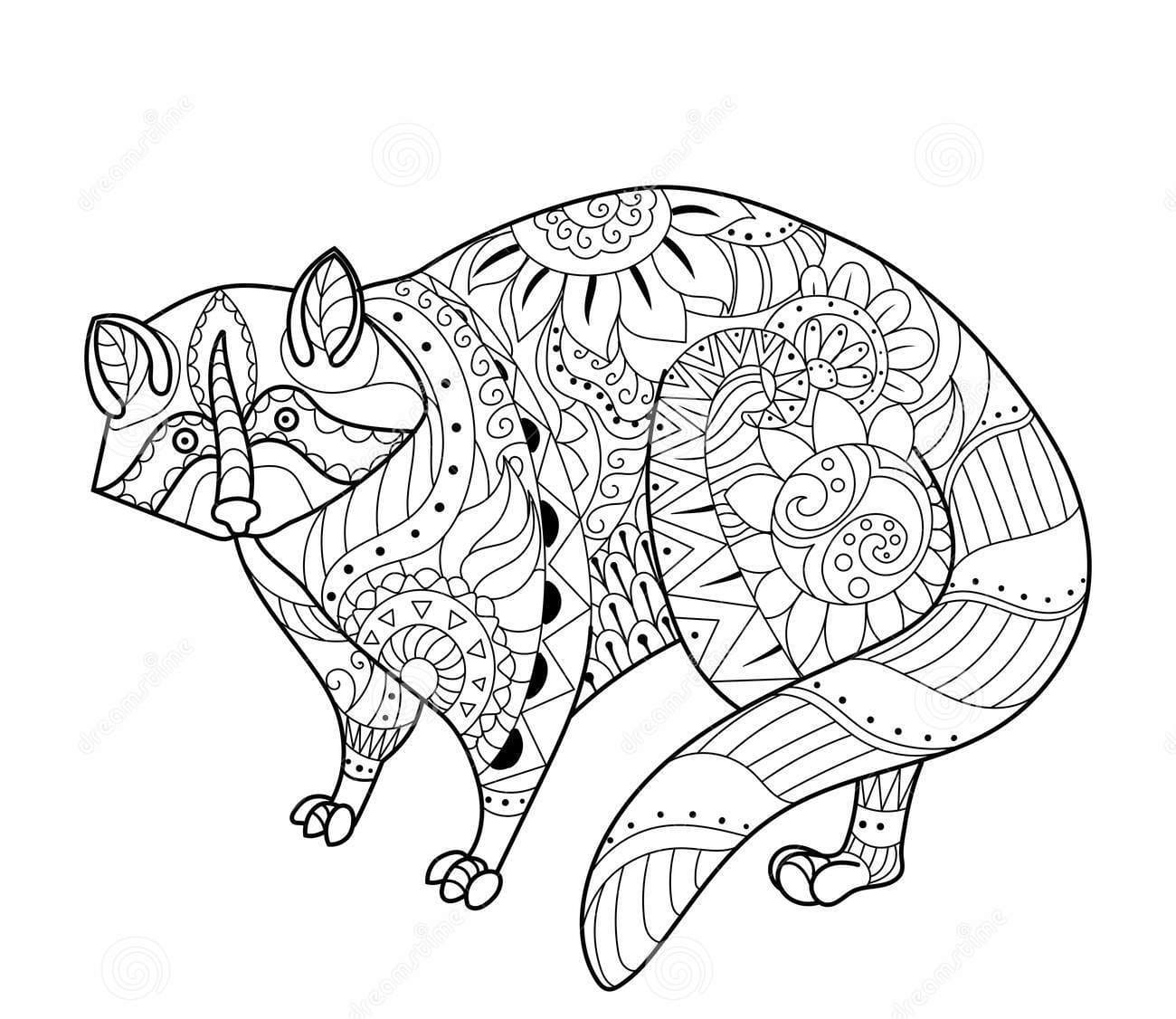 Cartoon Raccoon Lovely