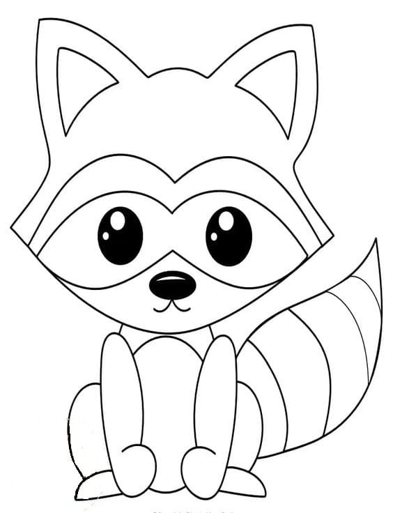 Raccoon Children Image