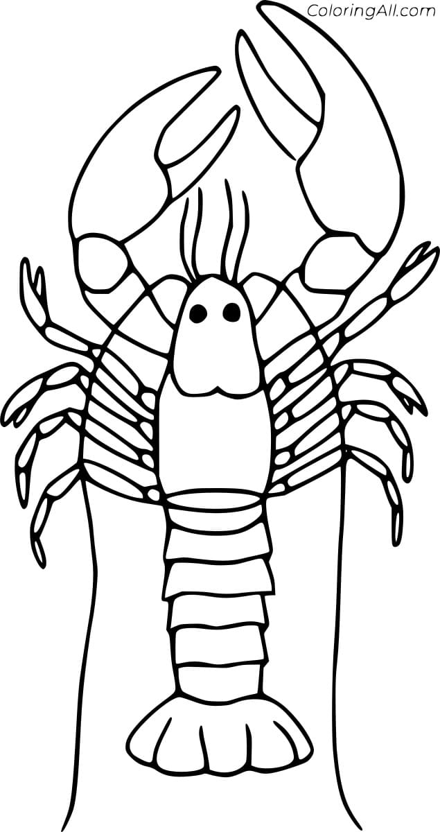 Norway Lobster
