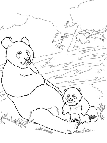 Panda Mother With Baby Panda