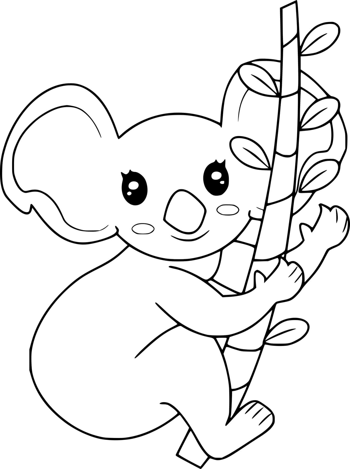 Koala Holds The Branch