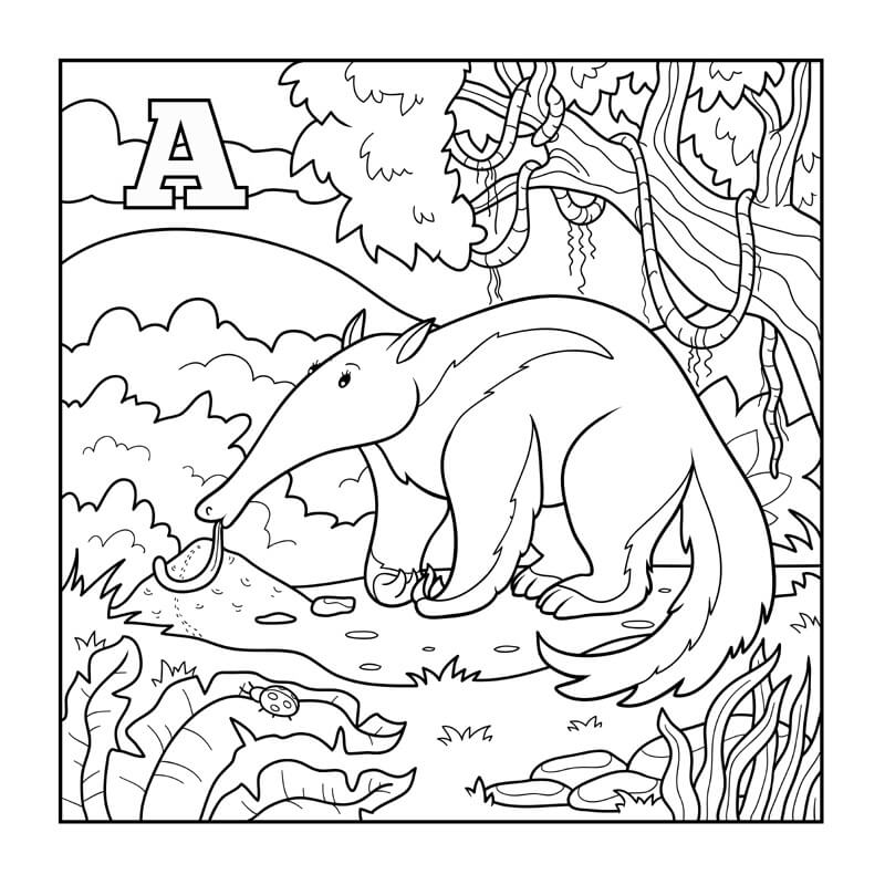 A Wild Aardvark