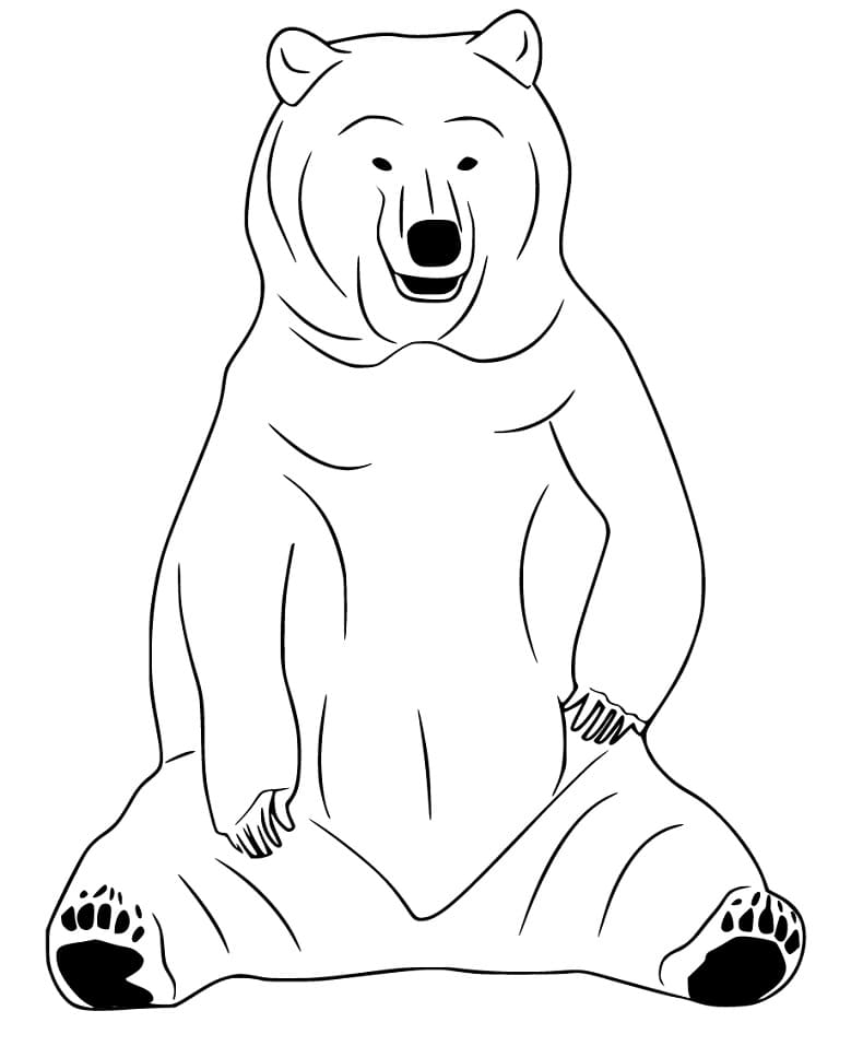 Big Black Bear