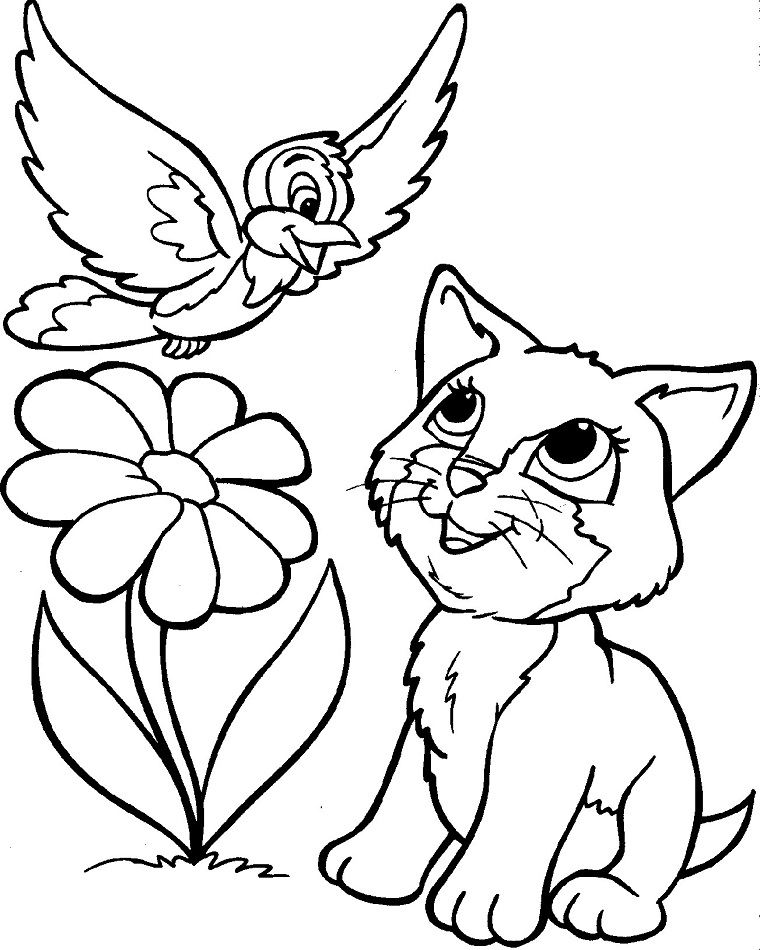 Bird And Cat