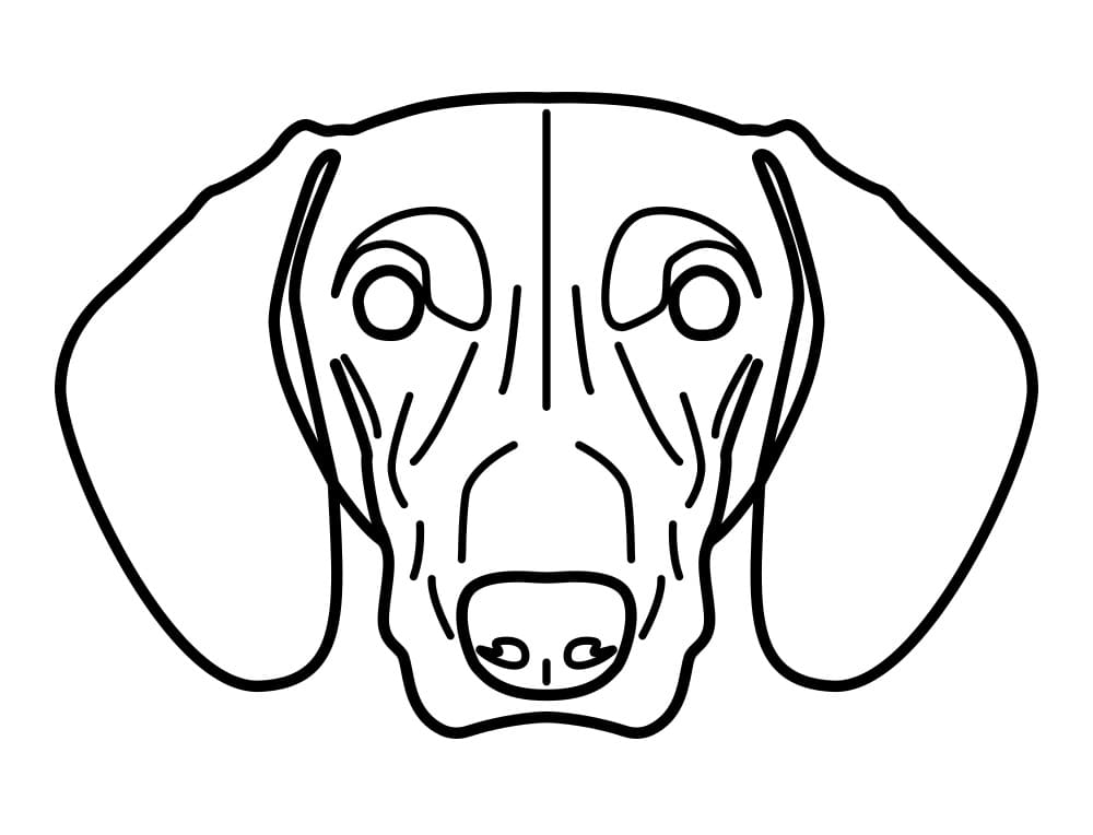 Dachshund Face
