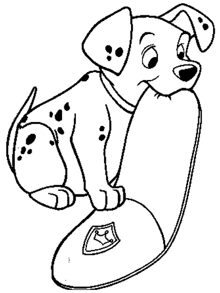 Dalmatian Hides A Slipper 2752