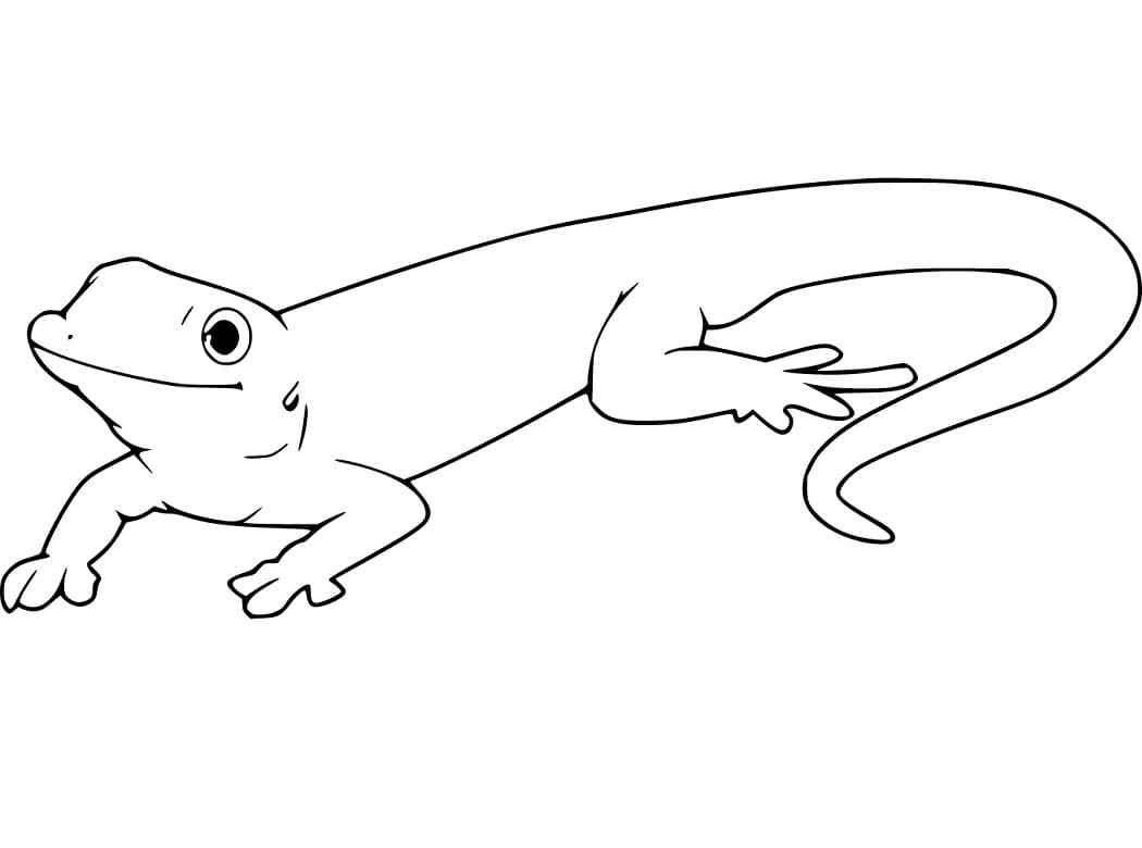 Happy Gecko