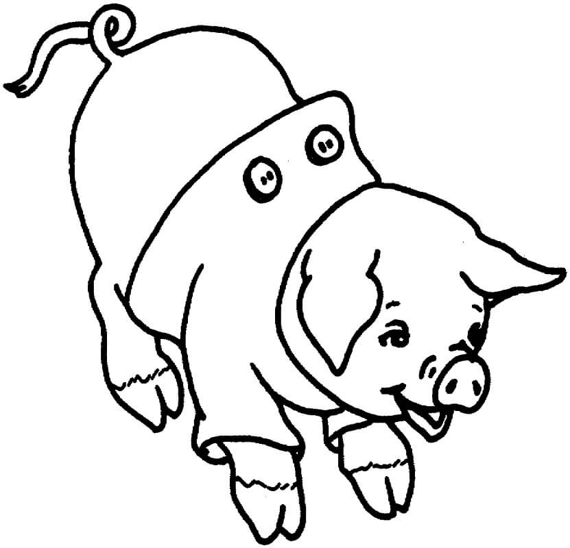 Laughing Pig