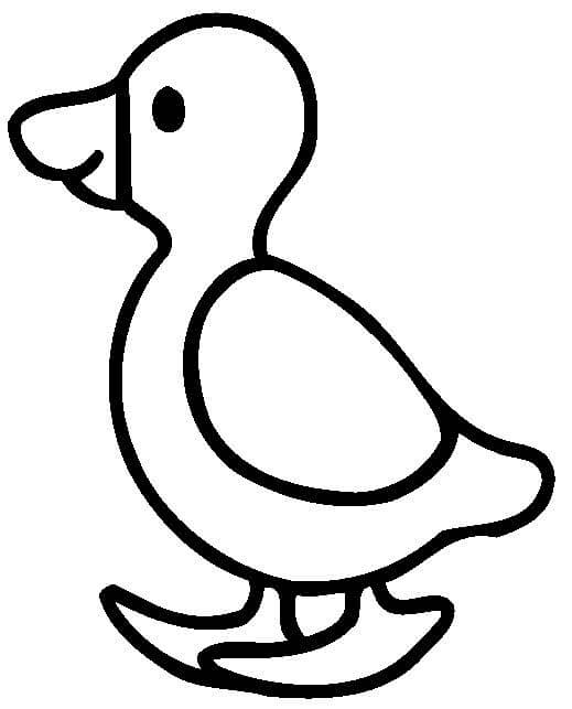 Little Duck for 1 Year Old Kids