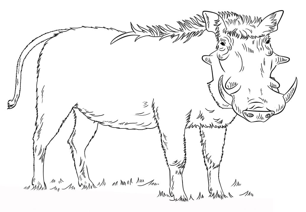 Normal Warthog