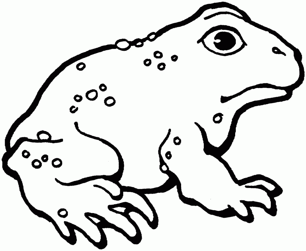 Toad 2