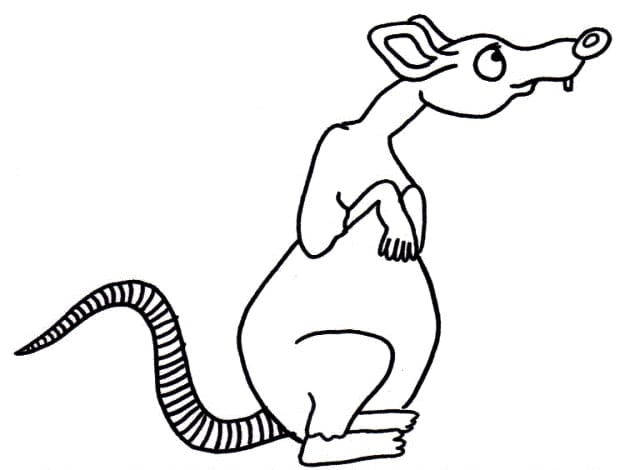 Big Rat