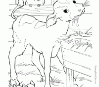 Alphabet Animal 38 Cool
