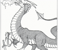 Fire Dragon 10 Cool