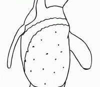 Cool Penguin 28