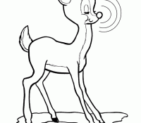 Reindeer 46 Cool